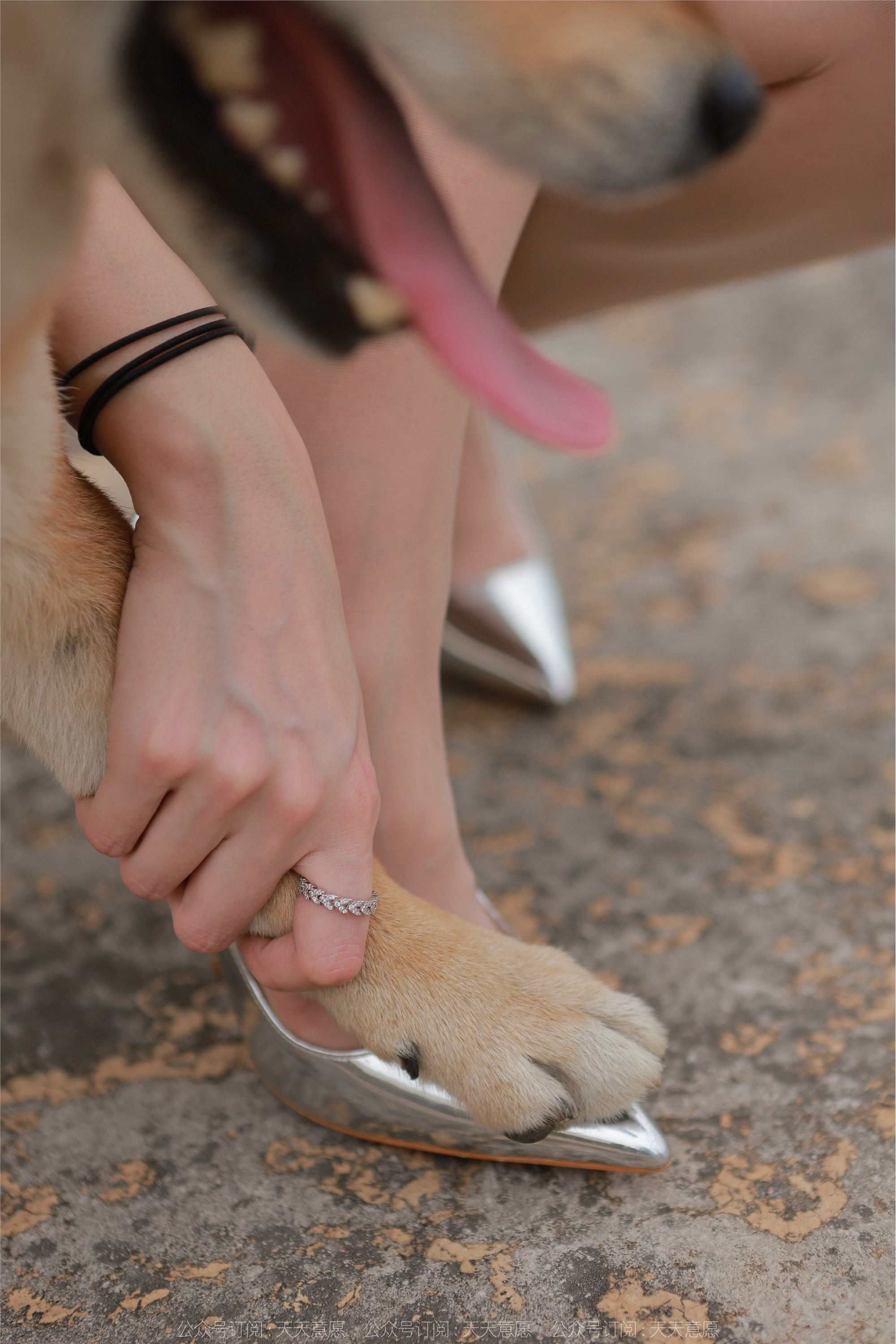 IESS异思趣向 2021.11.25 丝享家979：佳爷《12月女神佳爷-特辑》